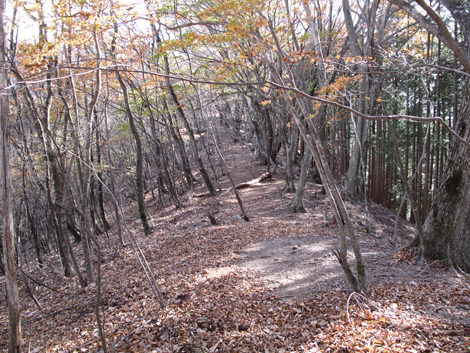 20171116hike (93)